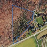15 acres Timberland and Hunting Land in Hornby NY State Route 414 images 2