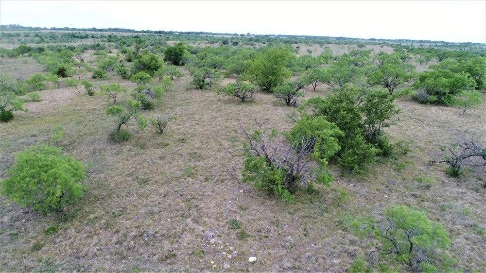Escape to the country Dublin Texas area featured image