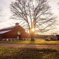 Lawless Acres images 4
