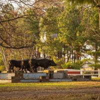 Lawless Acres images 5