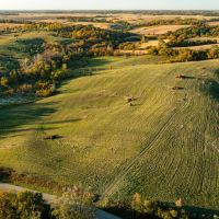 Mercer County Illinois 109.5 Acres of Land For Sale images 4