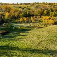 Mercer County Illinois 109.5 Acres of Land For Sale images 5