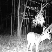 000 N Fox Road Marshall IL 62441