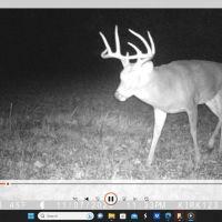 000 N Fox Road Marshall IL 62441 images 4