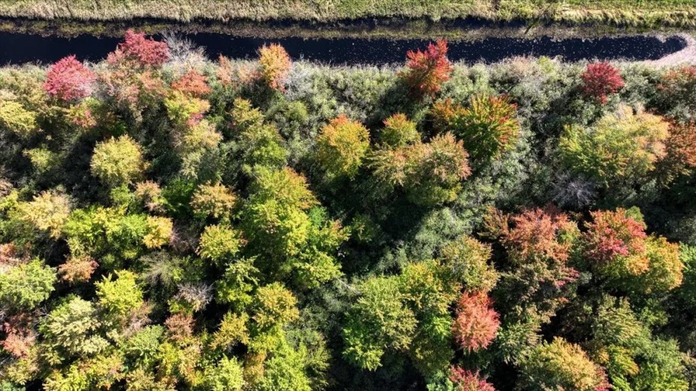 Escape to Your Private Wilderness Retreat in Monroe County WI featured image