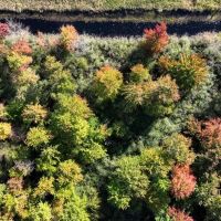 Escape to Your Private Wilderness Retreat in Monroe County WI