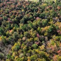 Escape to Your Private Wilderness Retreat in Monroe County WI images 3