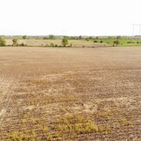 40 Acres - with 21.04 Acres of Tillable Ground Truro IA images 2