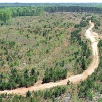 247.86 acres in Harris County images 3