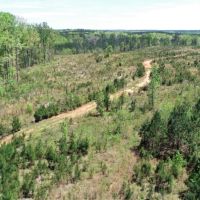 247.86 acres in Harris County images 4