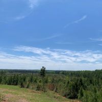 247.86 acres in Harris County images 5