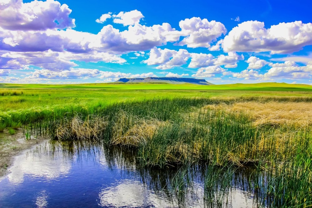 Little Muddy Creek Ranches featured image