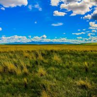 Little Muddy Creek Ranches images 5