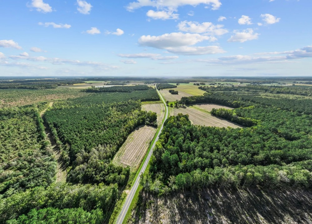 475-Acre Prime Hunting Land for Sale in Pitt County NC featured image