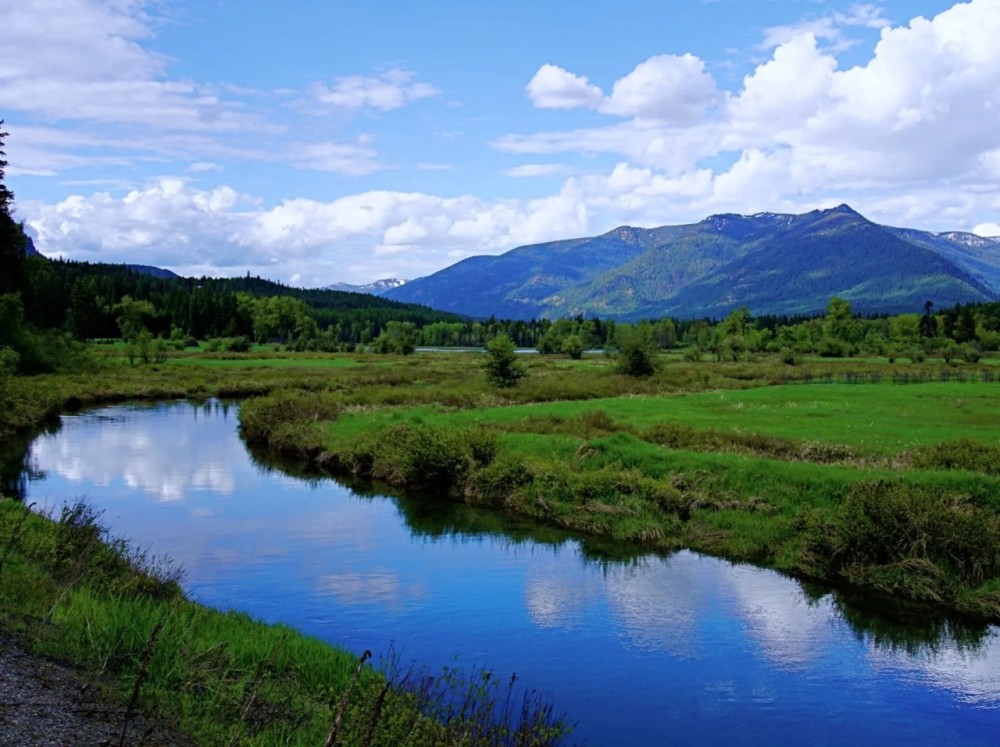 Bull River Paradise featured image
