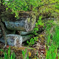 Bull River Paradise images 2