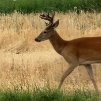Bull River Paradise images 4