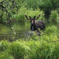 Bull River Paradise images 5