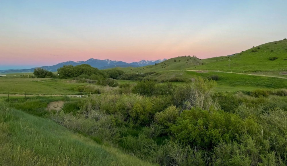 STAFFORD MEADOWS MINOR SUBDIVISION featured image