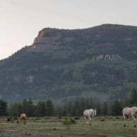 Rainbow Trout Ranch images 3