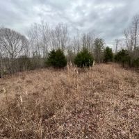 Three Sisters Farm images 2