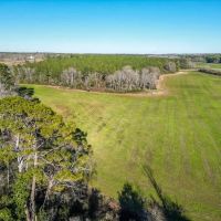 Land for sale in Jefferson Davis County images 3