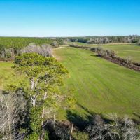 Land for sale in Jefferson Davis County images 4
