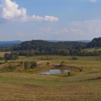East Tennessee Farm Land for Sale At Auction Hawkins County TN images 2