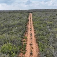 Devine 10 Acres