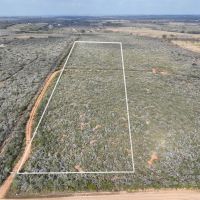 Devine 10 Acres images 2