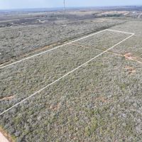 Devine 10 Acres images 3