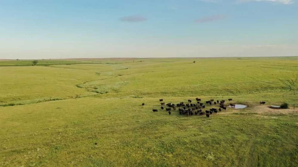 Teel Ranch - 2.497.08 - Acres in Sheridan County KS featured image