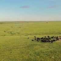Teel Ranch - 2.497.08 - Acres in Sheridan County KS