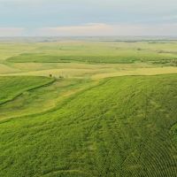 Teel Ranch - 2.497.08 - Acres in Sheridan County KS images 4