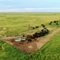Teel Ranch - 2.497.08 - Acres in Sheridan County KS images 5