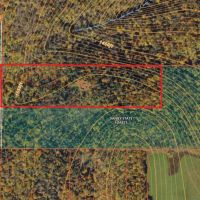16 acres Hunting Land and Recreational Land in Candor NY bordering Danby State Forest images 2