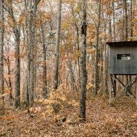 115.93 Acres with a Camp in Hamilton County Tennessee images 4