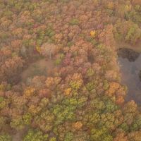 115.93 Acres with a Camp in Hamilton County Tennessee images 5