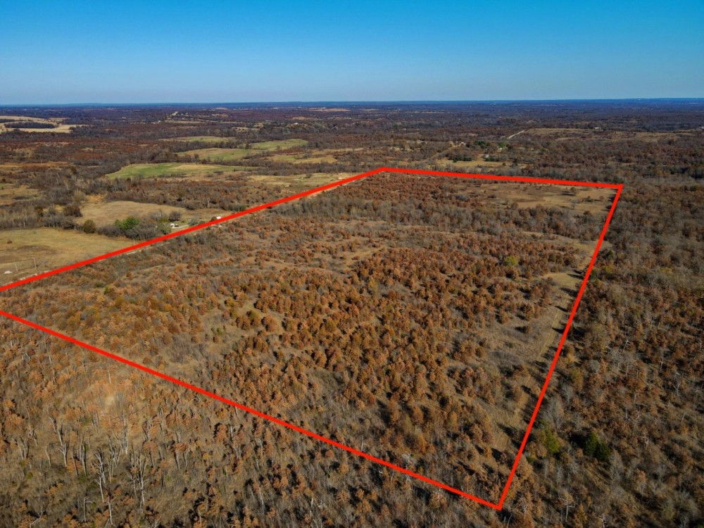 Tremendous Oklahoma Acreage - Great Hunting Home-Sites and Recreation featured image