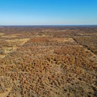 Tremendous Oklahoma Acreage - Great Hunting Home-Sites and Recreation images 2