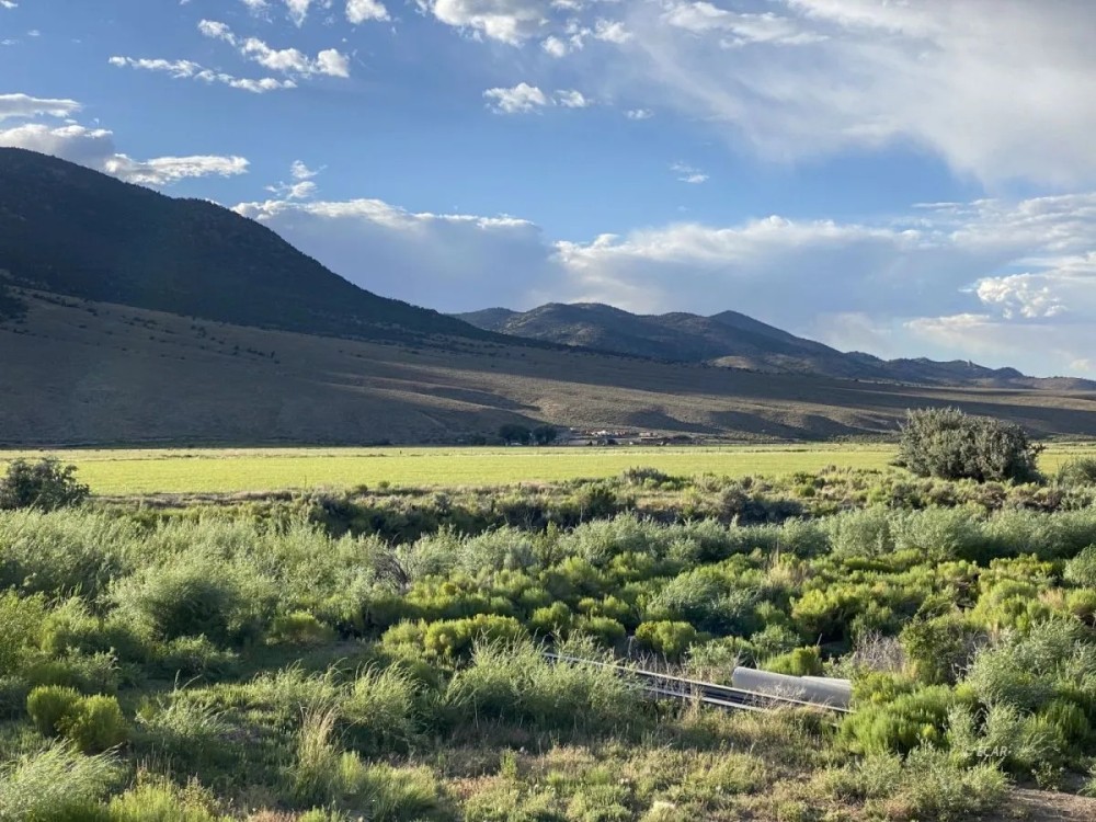 10977 Austin Road - Austin NV 89310 AKA Reese River Cabins featured image