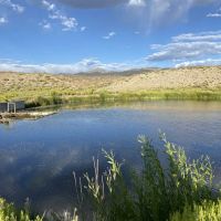 10977 Austin Road - Austin NV 89310 AKA Reese River Cabins images 2