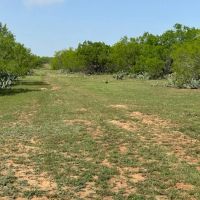 820 County Road 329 High Fence Ranch images 4
