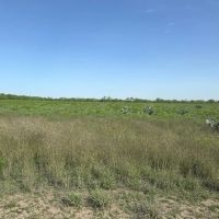 820 County Road 329 High Fence Ranch images 5