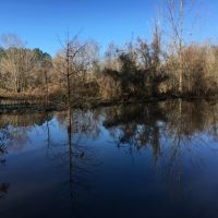 Bar L Ranch 156 - acres Dallas County AL