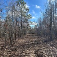 232 Acres in Lafayette County MS images 3