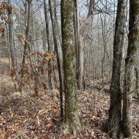 232 Acres in Lafayette County MS images 4