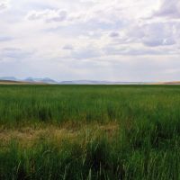 Sun River Cascade Rd Ranch images 3