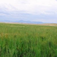 Sun River Cascade Rd Ranch images 4