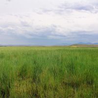 Sun River Cascade Rd Ranch images 5